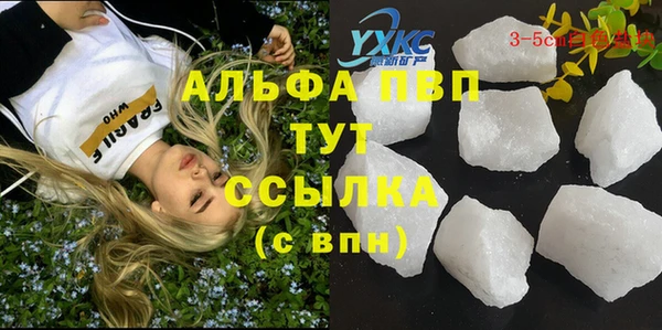 дмт Аркадак