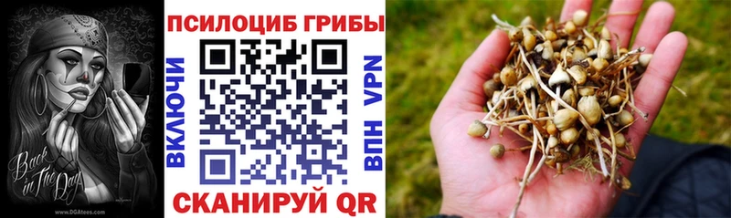 Псилоцибиновые грибы мицелий  Приозерск 